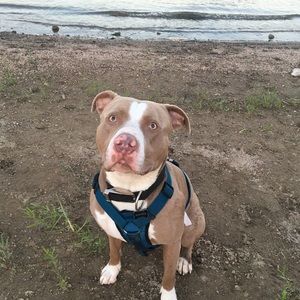 Meet your Posher, Tyler